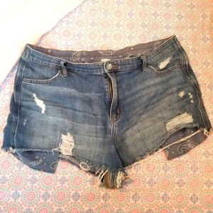 Aerie jean shorts